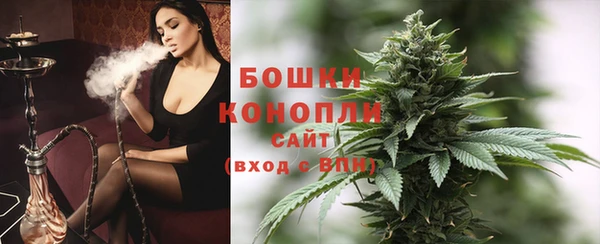 соль ск Бородино