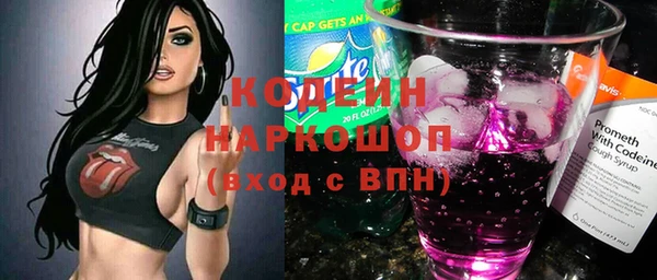 соль ск Бородино