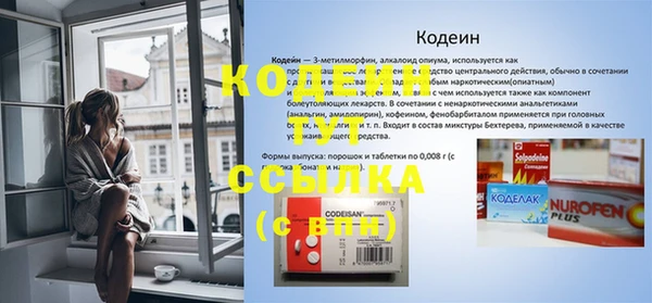 соль ск Бородино