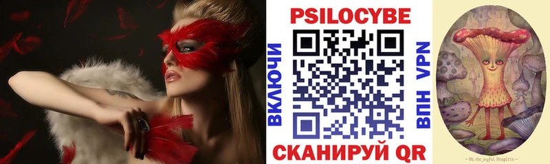Галлюциногенные грибы GOLDEN TEACHER  Томилино 